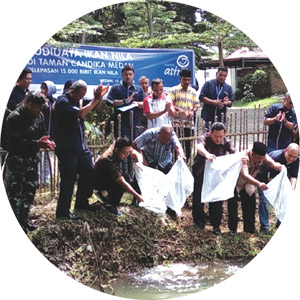 branch-csr