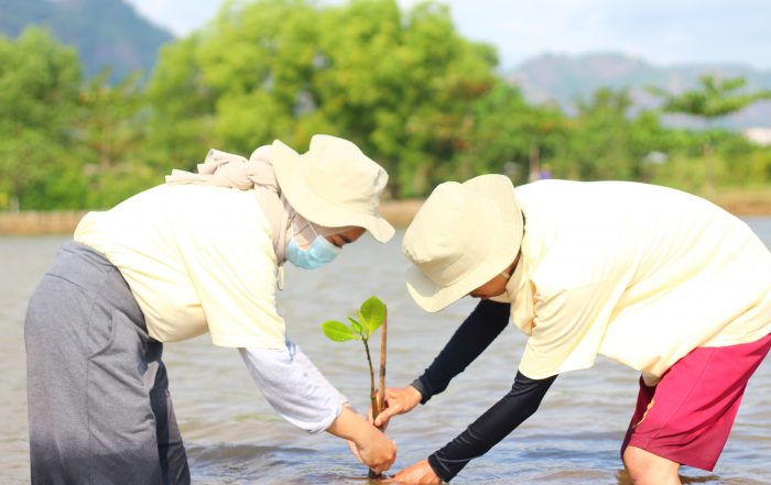 Salah satu mahasiswa Polban sedang melakukan giat 100 Magrove 1000 Harapan dalam program AksiMudaIndonesia di kawasan Ciletuh-Palabuhanratu