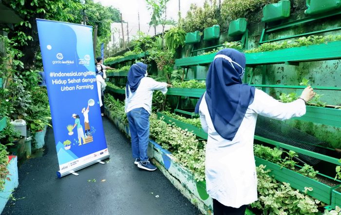 Kelompok wanita tani KBA Karina (Kampung Berseri Astra, Kampung Ramah Lingkungan Asuransi Astra) RW 01 Pela Mampang memiliki moto sejengkal tanah sejuta manfaat yang mengajak masyarakat untuk mulai hidup sehat dengan melakukan urban farming dalam rangkaian kampanye #IndonesiaLangitBiru.