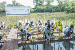 Asuransi Astra bersama Kepala Konservasi, Sumberdaya Hutan dan Daerah Aliran Sungai Provinsi DKI Jakarta menanam bibit pohon Mangrove di Kawasan Elang Laut, Jakarta Utara.