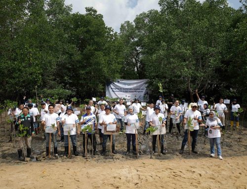 Then and Now, #AlwaysGardaOto Kolaborasi Berkelanjutan Garda Oto dan Agung Toyota Ajak Pelanggan Tanam 3.000 Pohon Bakau  di KBA Tua Bakau Serip, Batam