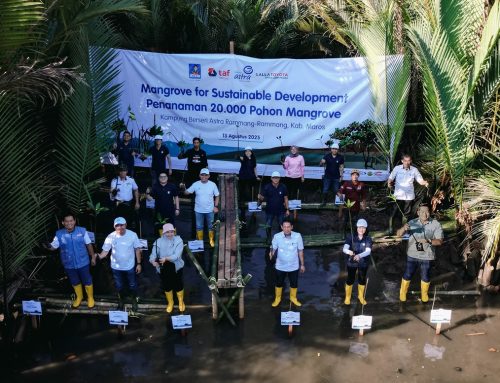 Kolaborasi Astra Group dan Kalla Toyota;  Kurangi Emisi, Tanam 20.000 Bibit Mangrove di KBA Rammang-Rammang, Maros